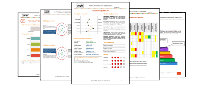individual report